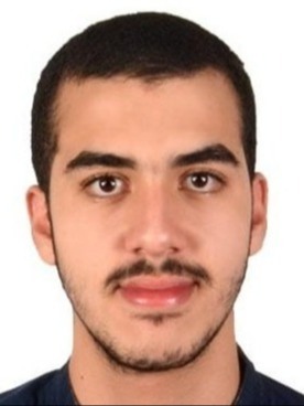 Bilal  Elsayed Elalfy