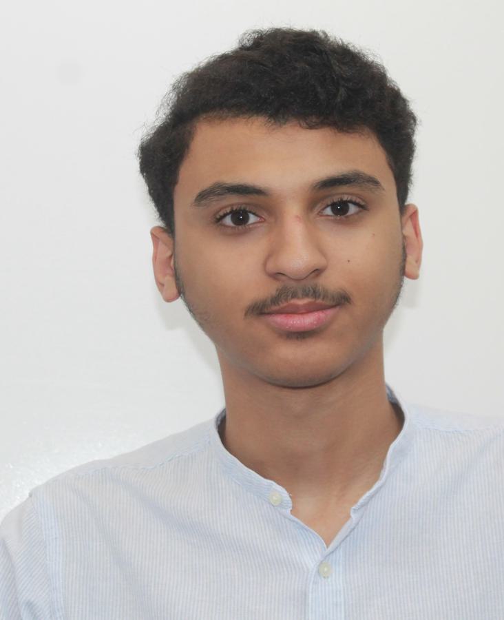 Hassan Abbas Alaradi