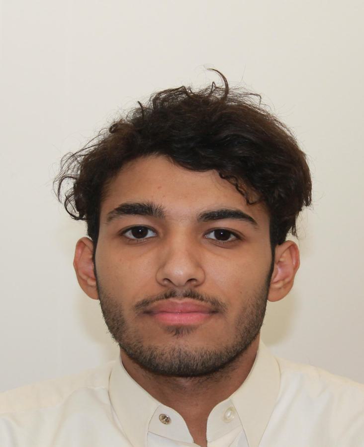 Mohammed Hussain Al Amer