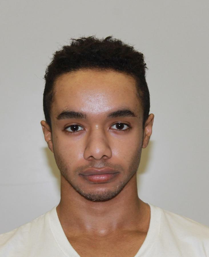 Ahmed Elgaili El Tayeb